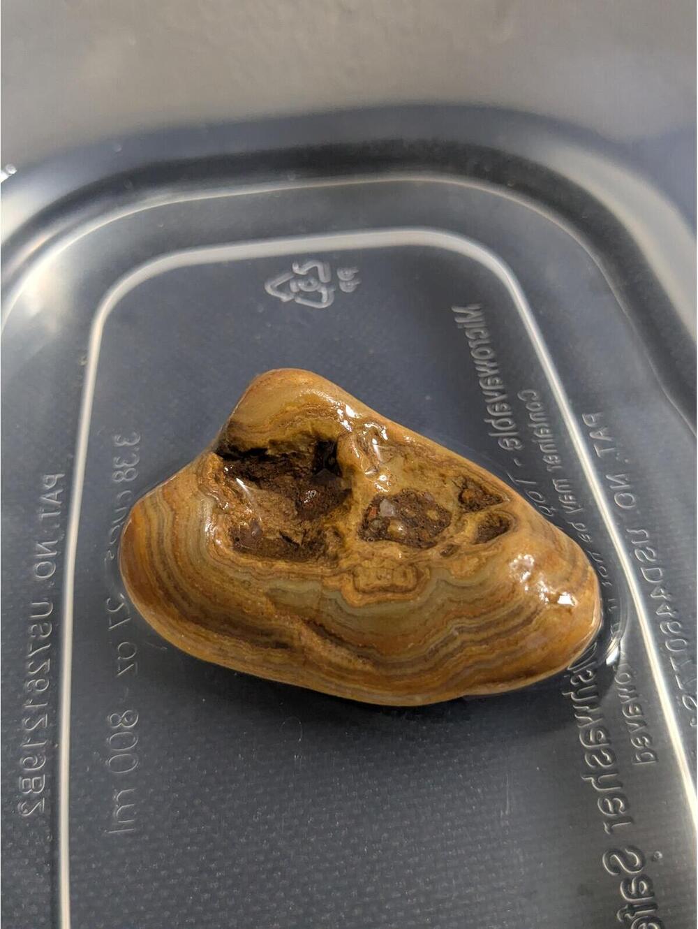 Crowley's Ridge Banded Agate - Picture 7 of 9